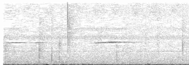 ML91688211 visualization