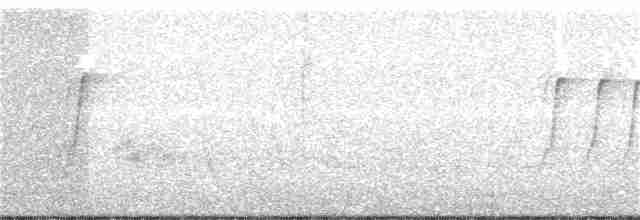 Вилохвостая нектарница - ML91727521