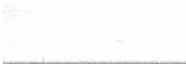 Loggerhead Shrike - ML91768521