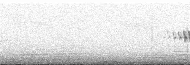 Kara Gözlü Junko [oreganus grubu] - ML91835111