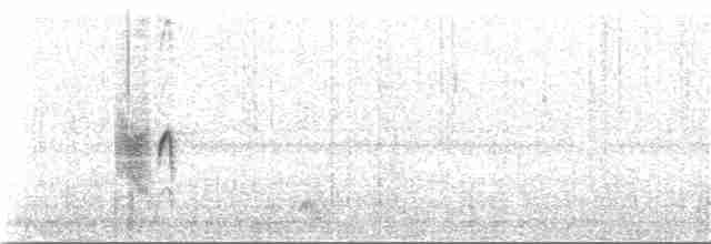 Plectrophane blanc - ML91849211