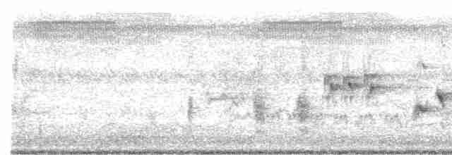 Australian Reed Warbler - ML91931131