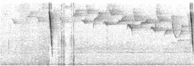 Cerulean Warbler - ML92006141