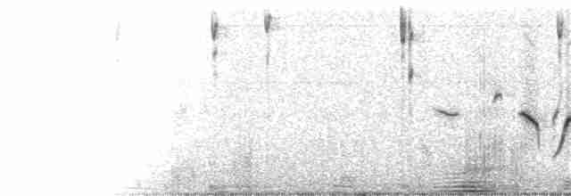 Plectrophane de Smith - ML92021931
