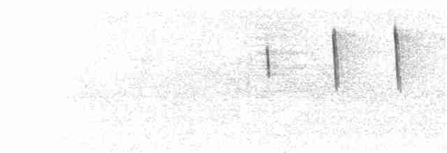 rorýs srpokřídlý - ML92051781