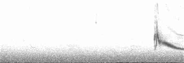 Скальный крапивник - ML92053031