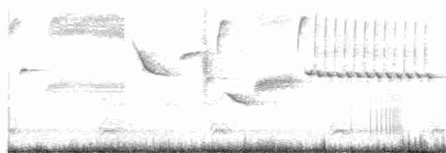Длиннохвостый крапивник - ML92105651