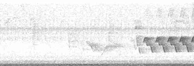 Karolina Çıtkuşu - ML9213