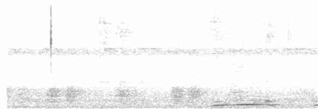 Сова-голконіг гігантська - ML92148161