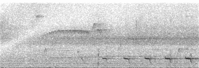 Surukua Trogonu - ML92152161