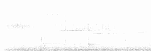 Юнко сірий (підвид hyemalis/carolinensis) - ML92179881