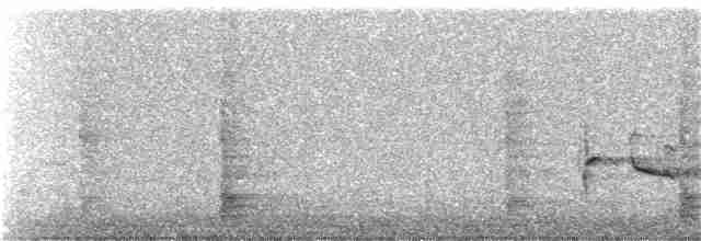 Amerika Çütresi (purpureus) - ML92179891