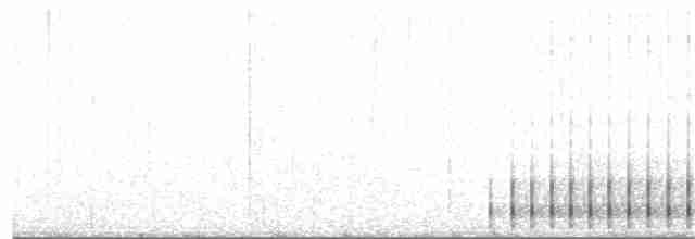 Dreizehenspecht [tridactylus-Gruppe] - ML92220921