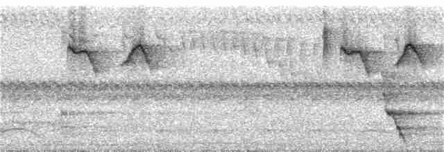 Conirostre cul-roux - ML92336491