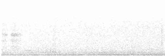 svartkroneløvtyrann - ML92405271