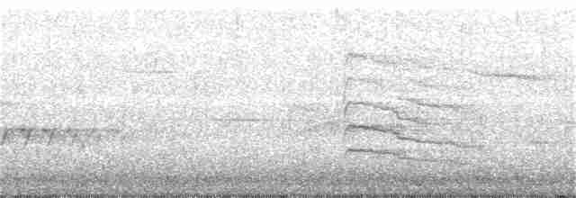 Дятел-смоктун жовточеревий - ML92419391