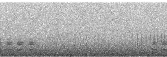 Kestane Taçlı Kotinga - ML92450