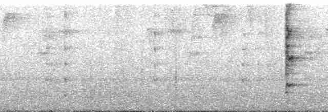 Tangara de Rieffer - ML92459
