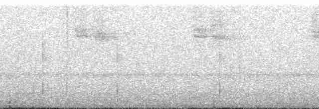 Kestane Taçlı Kotinga - ML92606