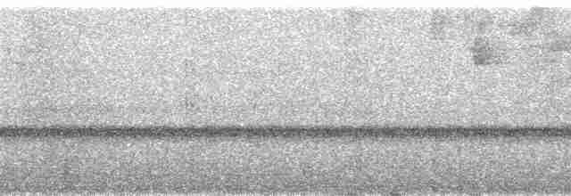 Alev Suratlı Tangara (parzudakii/urubambae) - ML92632