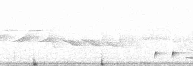 Kızıl-Beyaz Çıtkuşu - ML9280