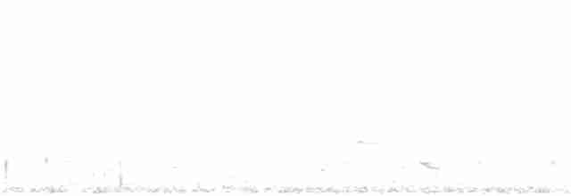 Chevêchette naine - ML92802741