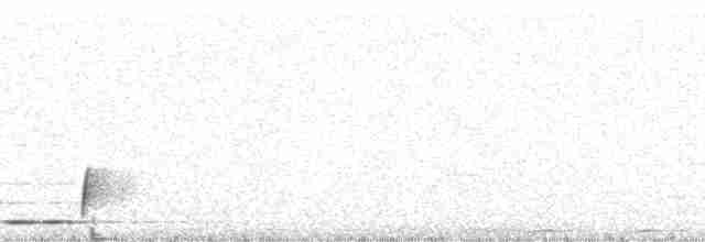 Kızıl-Beyaz Çıtkuşu - ML9283