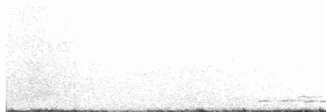 Papamoscas de Ceilán - ML92831081
