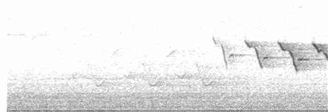 lesňáček zlatohrdlý (ssp. dominica/stoddardi) - ML92860531