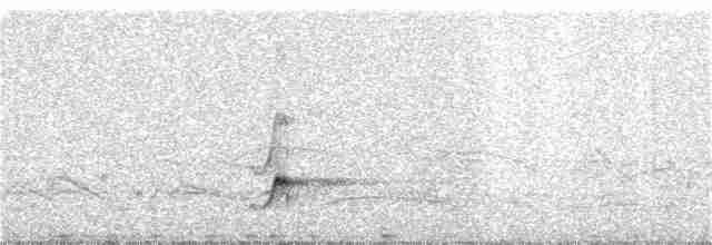 Brown-crested Flycatcher - ML92865181