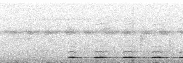 Сплюшка мадагаскарська (підвид rutilus) - ML92866