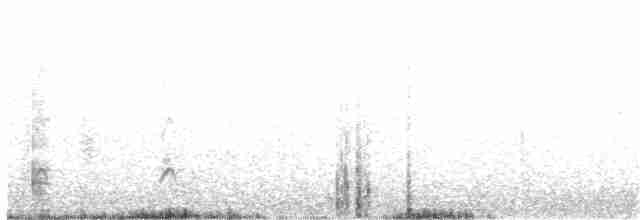 カナダカケス（obscurus／griseus） - ML92903951