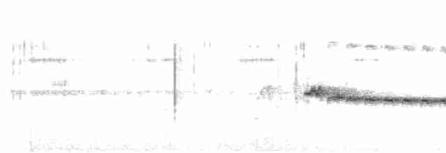 Grauband-Ameisenvogel - ML92913111