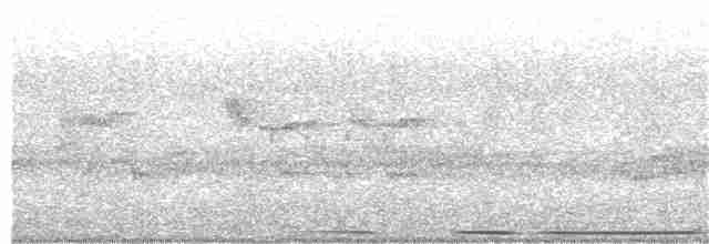 holub bledočelý - ML92935031