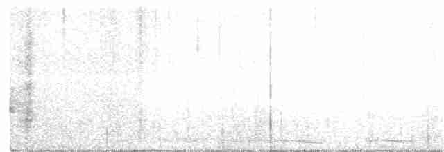 Brownish-flanked Bush Warbler - ML92961111