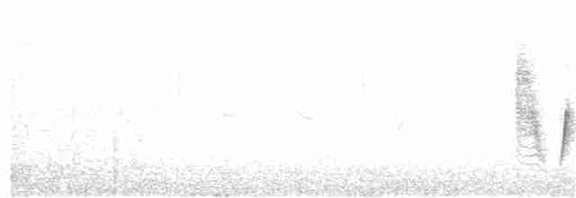 White-eyed Vireo - ML93052211