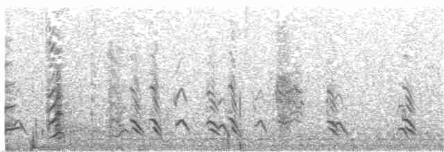Kanada Kargası (obscurus/griseus) - ML93181721