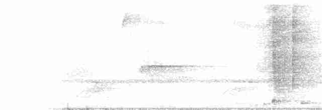 クリガシラオオツリスドリ - ML93301281