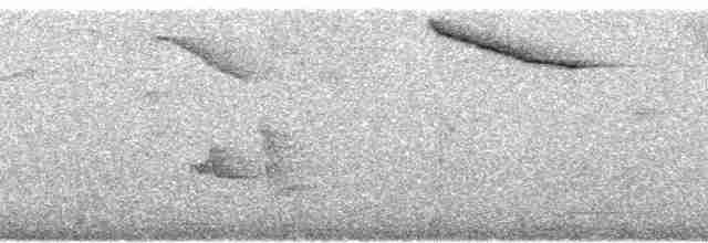 Cuitlacoche Oscuro - ML93316