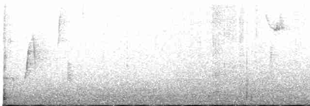 White-eyed Vireo - ML93328421