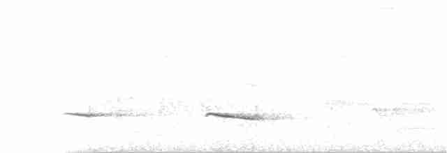 Kestane Sırtlı Karıncakuşu - ML93359011