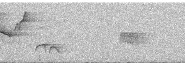Чешуйчатогрудый пересмешник - ML93365