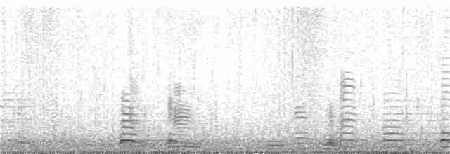 Cisne Trompetero - ML93412141