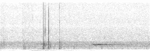 Сичик-горобець гірський (підвид pinicola) - ML93509481