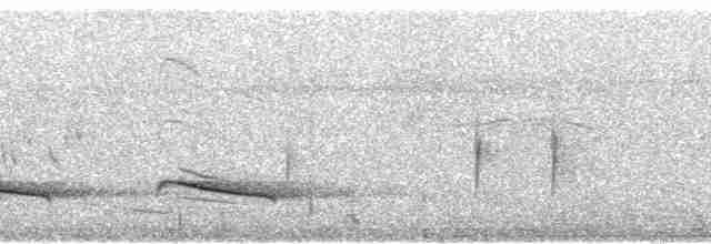 Крючкоклювая ванга (cetera) - ML93533