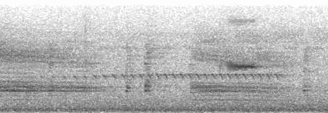 Ібіс чубатий - ML93595