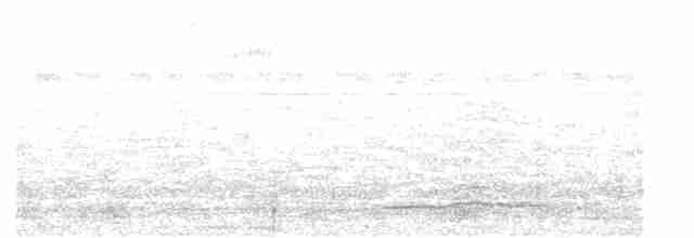 Thicket Tinamou - ML93608881