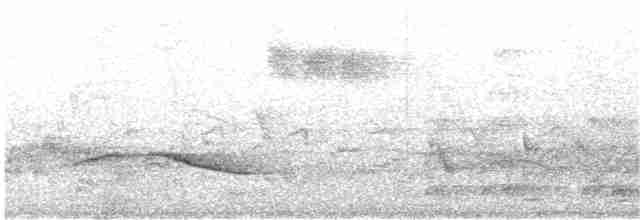 Пятнистогрудая тимелия-говорушка - ML93620451