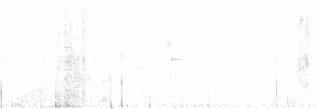 kvasthaletrogon - ML93667881
