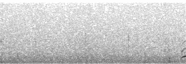 Kanada Kargası (obscurus/griseus) - ML93723271
